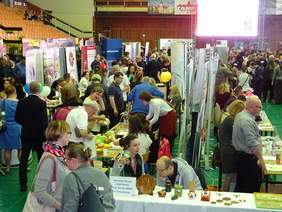 XI Targi Pracy i Edukacji w Tarnobrzegu