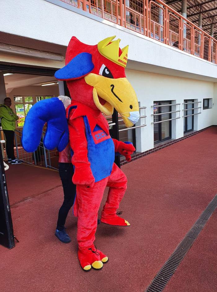 Pokaż zdjęcie: Gryfuś już gotowy do zawodów