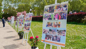 Pokaż zdjęcie: Szereg plansz wystawowych ustawionych wzdłuż ścieżki w parku, prezentujących zdjęcia z działań Środowiskowego Domu Samopomocy, Ośrodka Oparcia Społecznego i turnusów rehabilitacyjnych organizowanych przez PSONI Koło w Szczecinie. Przed planszami ustawione są donice z kwitnącymi różowymi kwiatami.