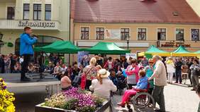 Dzień Godności w Zielonej Górze 