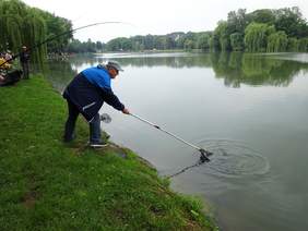 Pokaż zdjęcie: Wyławianie podbierakiem złapanej przez zawodnika ryby 