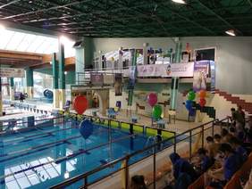 Pokaż zdjęcie: Przygotowania do zawodów