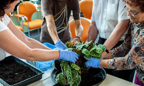 Zajęcia z horiterapii. Zdjęcie pochodzi ze zbiorów własnych Stowarzyszenia "Chronica" w Toruniu.