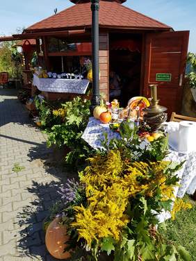 Pokaż zdjęcie: Piknik ekologiczny na Farmie Życia "Dzień Farmera" - Fundacja Wspólnota Nadziei
