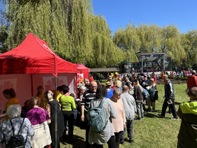 Pokaż zdjęcie: Przed czerwonym namiotem z napisem Caritas stoi kolejka osób w tle duża scena na której bawią się dzieci.
