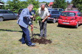 Pokaż zdjęcie: Sadzenie drzewa wdzięczności przez Jerzego Dębskiego Dyrektora Oddziału Lubelskiego PFRON