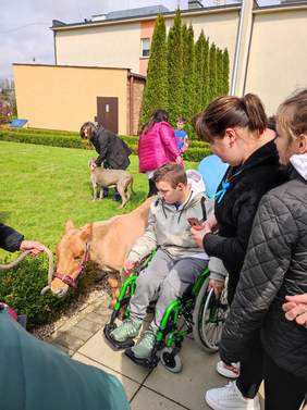 Pokaż zdjęcie: Chłopiec siedzący na wózku inwalidzkim głaszcze kucyka
