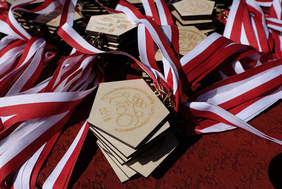 Medale, przygotowane dla uczestników Olimpiady