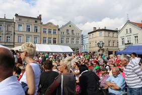 Pokaż zdjęcie: Festyn Przyjaźni „Tacy Sami” w Tczewie - uczestnicy festynu