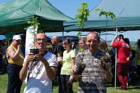 Pokaż zdjęcie: Nagrody za udział w zabawach na stoisku Nadleśnictwa