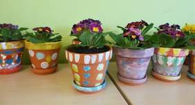 Pokaż zdjęcie: Warsztaty artystyczne w SP nr 34 w Krakowie. Na zdjęciu kwiaty w doniczkach. Doniczki są ozdobione kolorowymi farbami.
