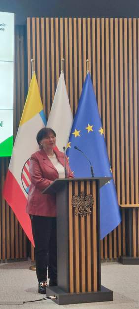 Pokaż zdjęcie: Pracownik Oddziału Świętokrzyskiego Joanna Głowacz wygłasza prezentacje na temat nowego konkursu dla organizacji pozarządowych